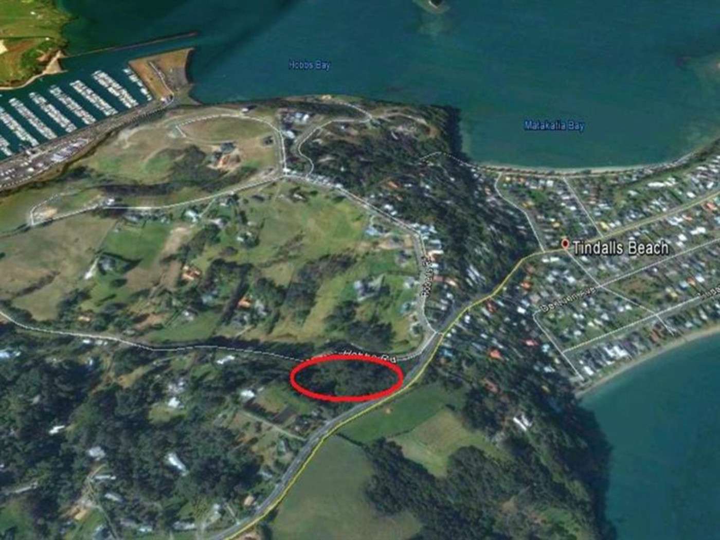 1117 Whangaparaoa Road, Whangaparaoa, Rodney Real Estate Ray White New Zealand