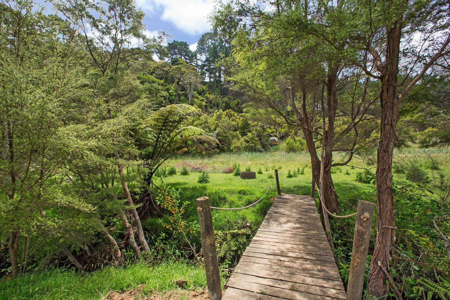 107 Hellyer Road, Kaukapakapa, Rodney