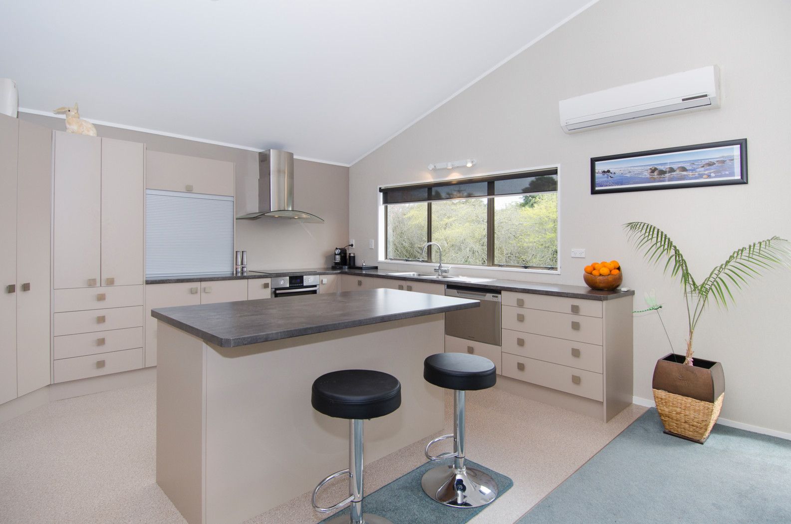14 Saunders Place, Te Puke, Western Bay Of Plenty District