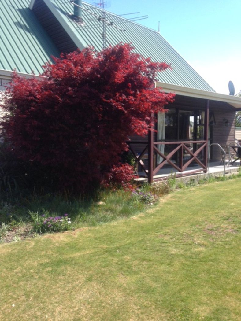 35 Morgan Street, METHVEN, Ashburton District