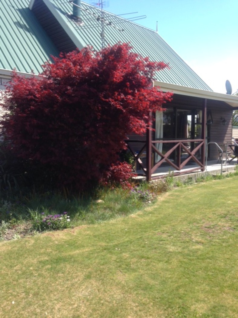 35 Morgan Street, METHVEN, Ashburton District