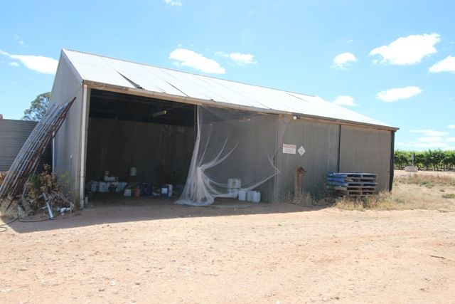 Lots 2 and 3 Ballantine Road, Waikerie, SA 5330