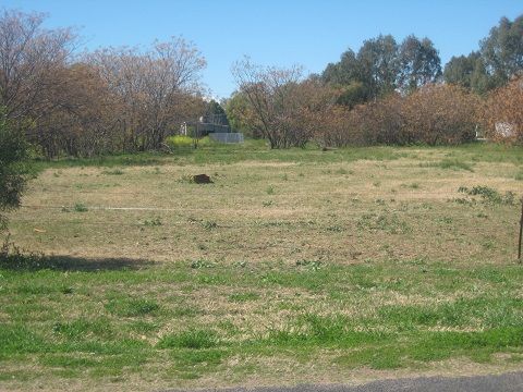 70 Wilga Street, Coonamble NSW 2829