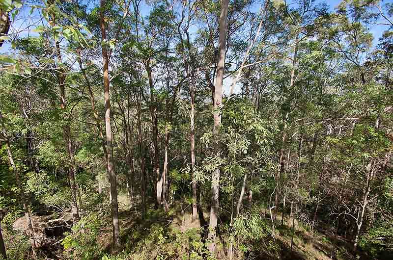 81 Kocho Road, IMAGE FLAT, QLD 4560