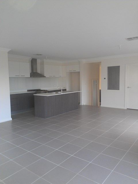 15 indigofera Circuit, Mount Annan, NSW 2567