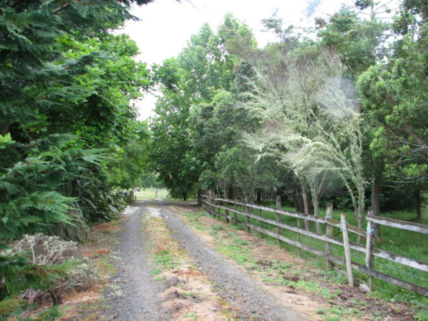 2239 D State Highway 12 photo 3