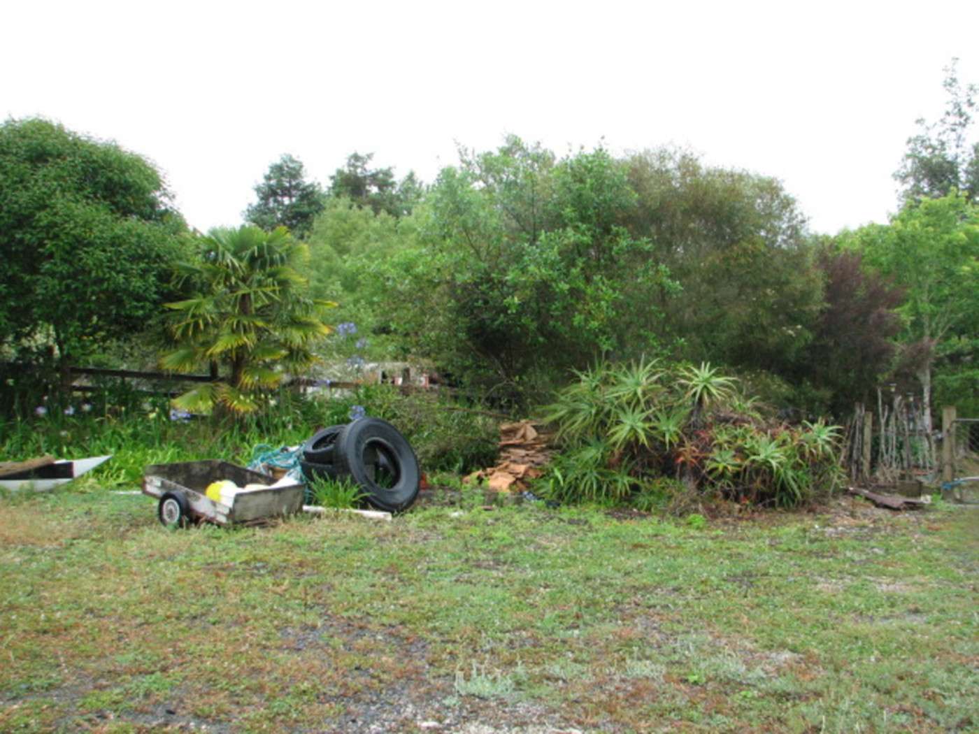 2239 D State Highway 12 photo 7