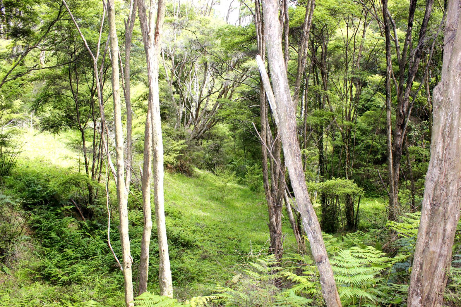 656 Takahue Road, Takahue, Far North District