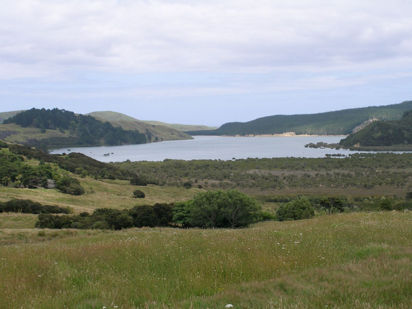 Herekino, Far North District