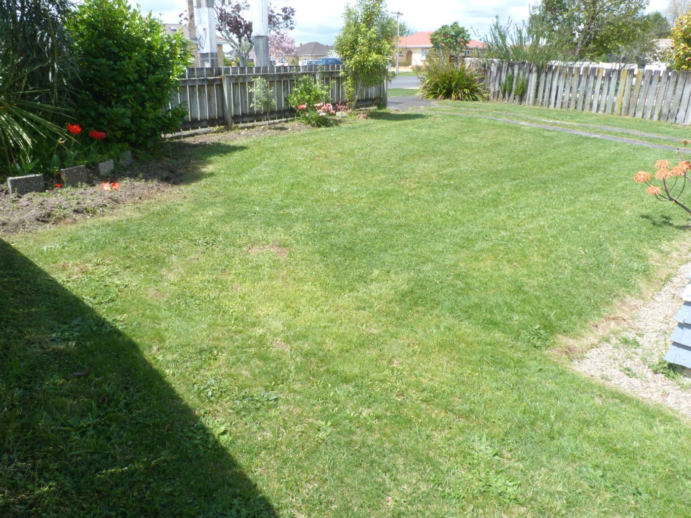 17 Balloch Street, Fairfield, Hamilton City