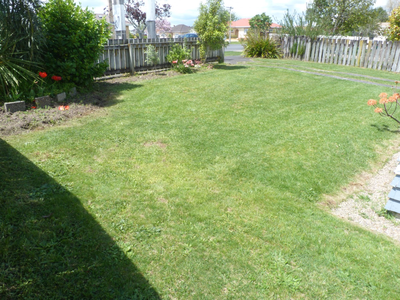 17 Balloch Street, Fairfield, Hamilton City
