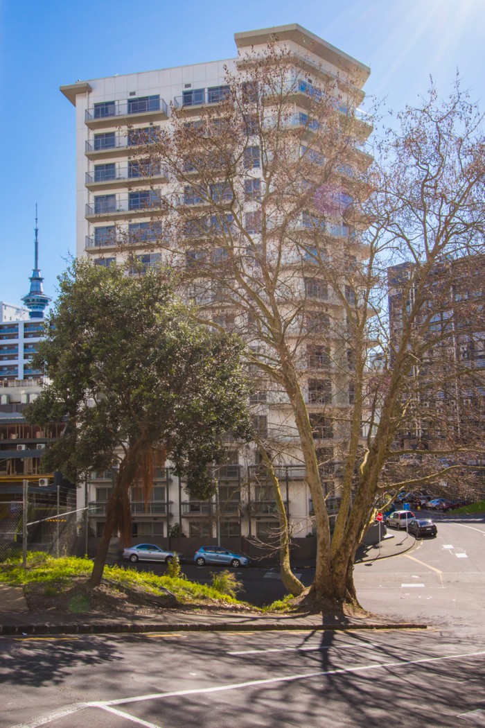 10G/2 White Street, Auckland Central, Auckland City