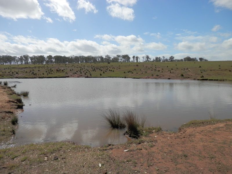 570 Clause Road, Haigslea, QLD 4306