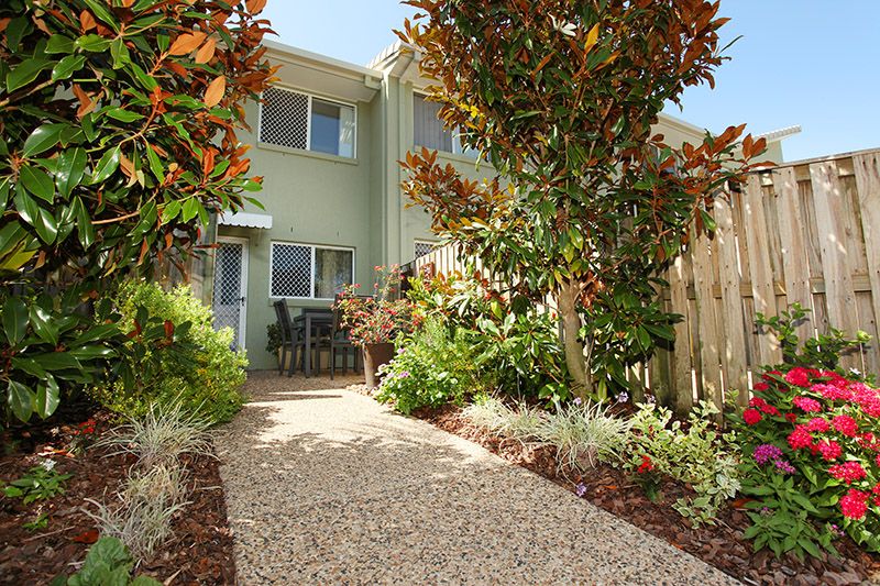 16/30 Memorial Avenue, Cotton Tree, QLD 4558