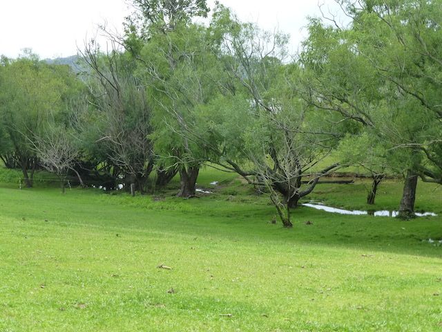 8 Ferndale Road, Bundanoon, NSW 2578