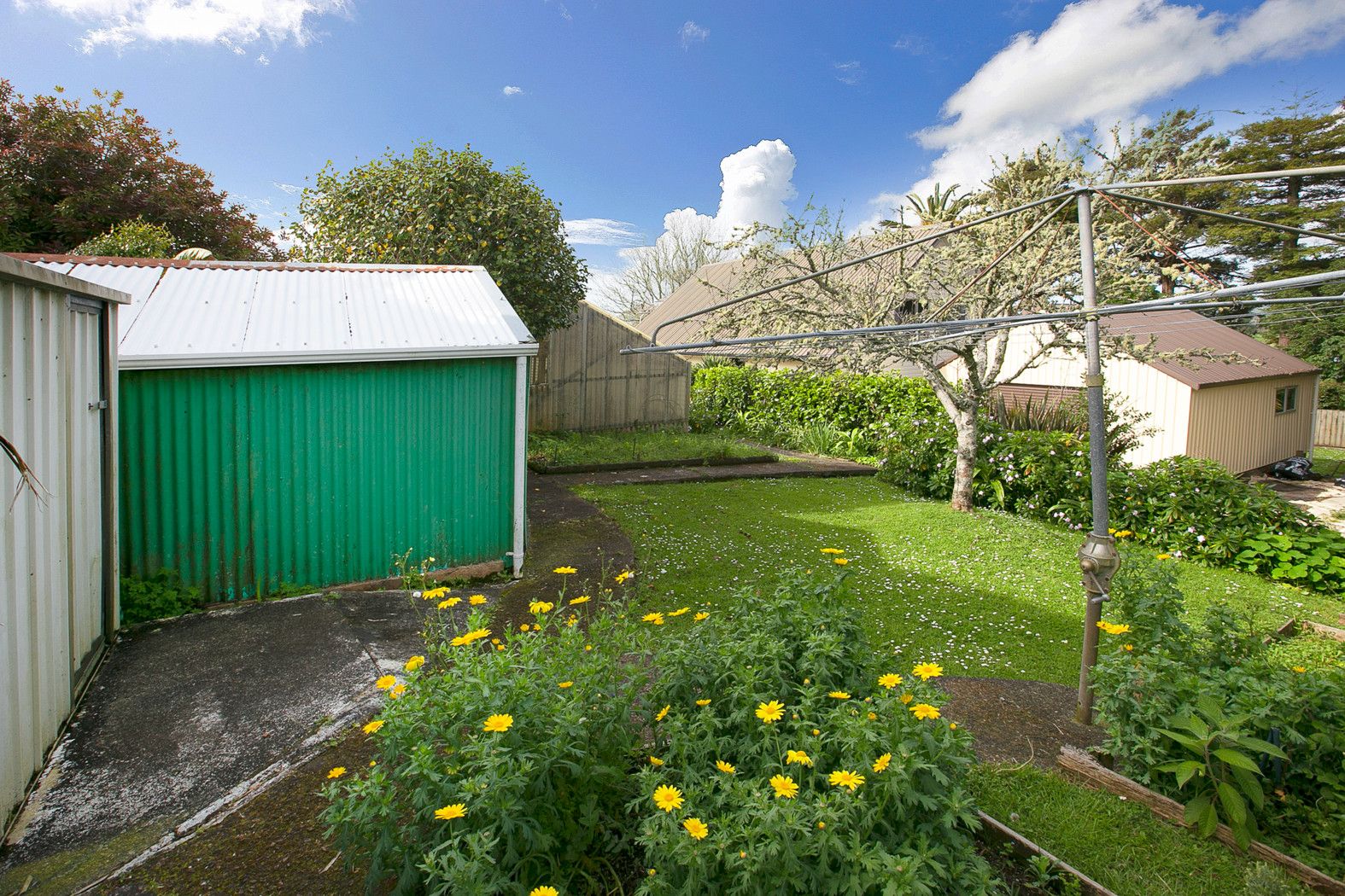 31 Port Albert Road, Wellsford, Rodney