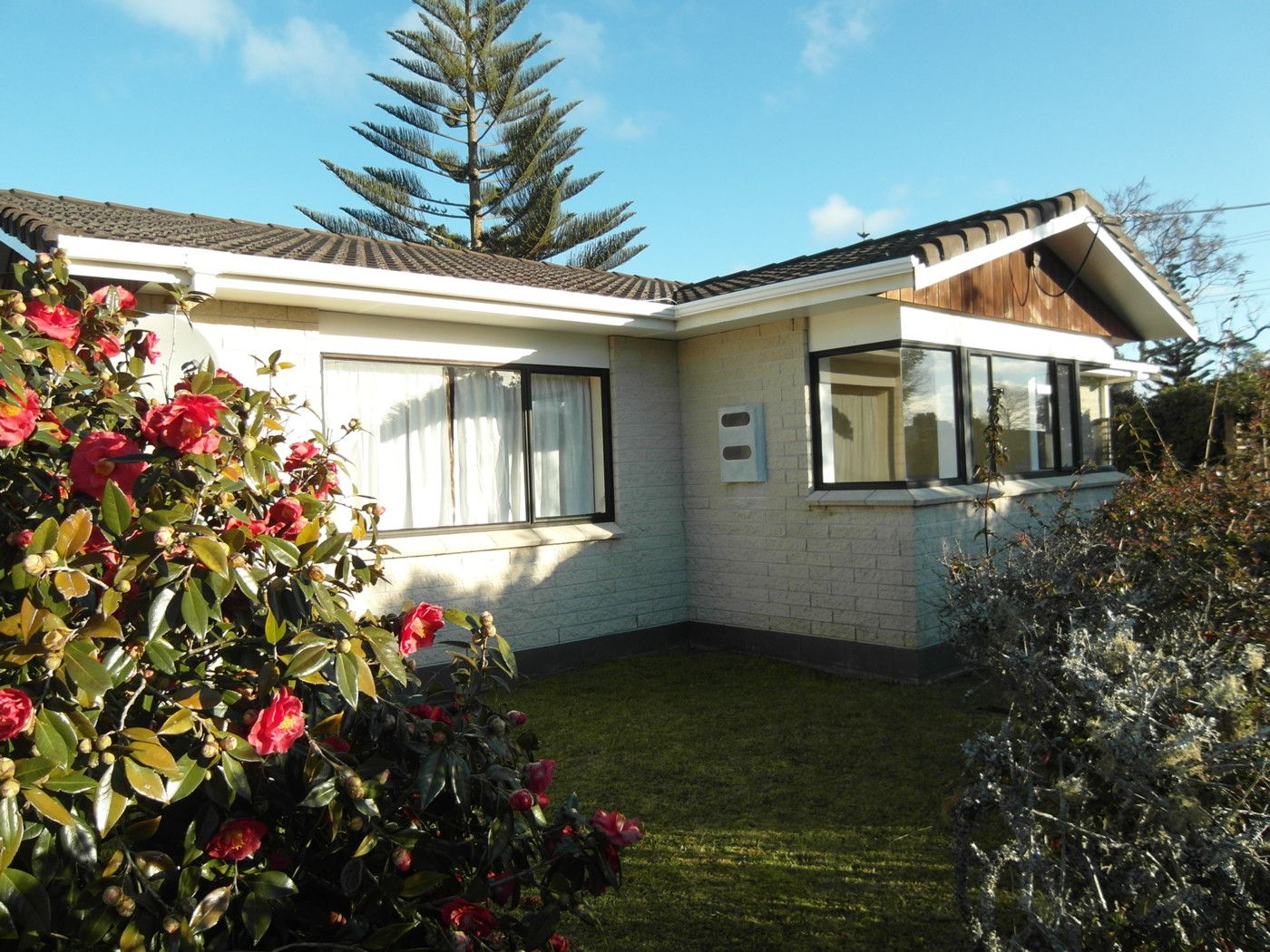 Orewa, Rodney