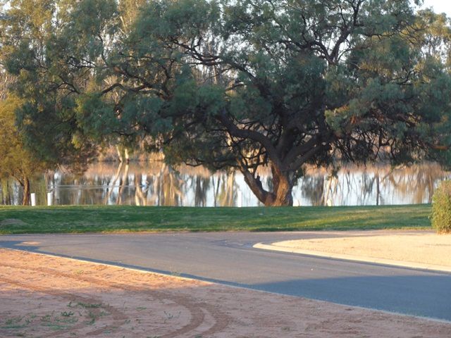 29 Pope Street, Kingston On Murray, SA 5331