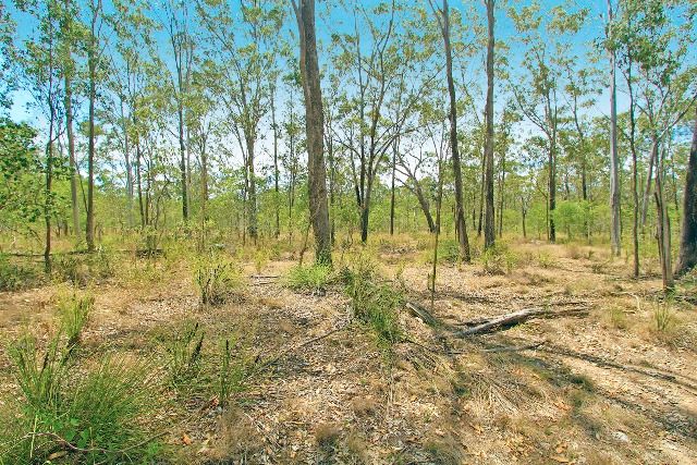 333 Pine Mountain Road, Mulara, QLD 4703