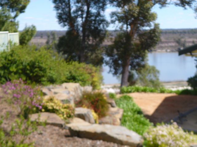 1662 Cot1 Bookpurnong Road, LOXTON, SA 5333