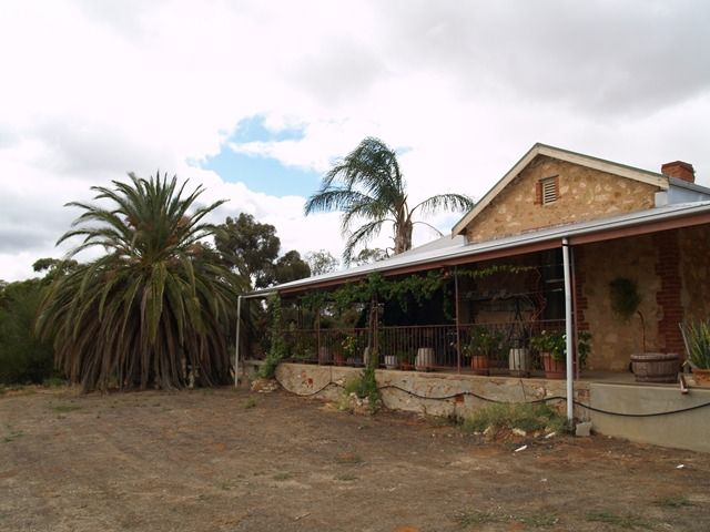 Lot 56 Mackintosh Road, Cadell, SA 5321
