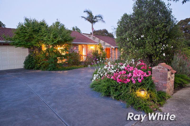19 Yarralumla Drive, Langwarrin, VIC 3910