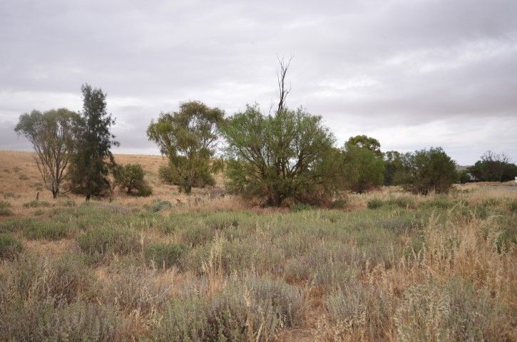 Lot 459 Govt Road, Burra, SA 5417