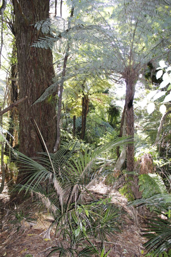 00 Te Karoa Road, Peria, Far North District