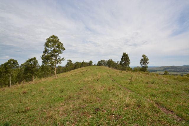 246 Alison Road, Dungog, NSW 2420