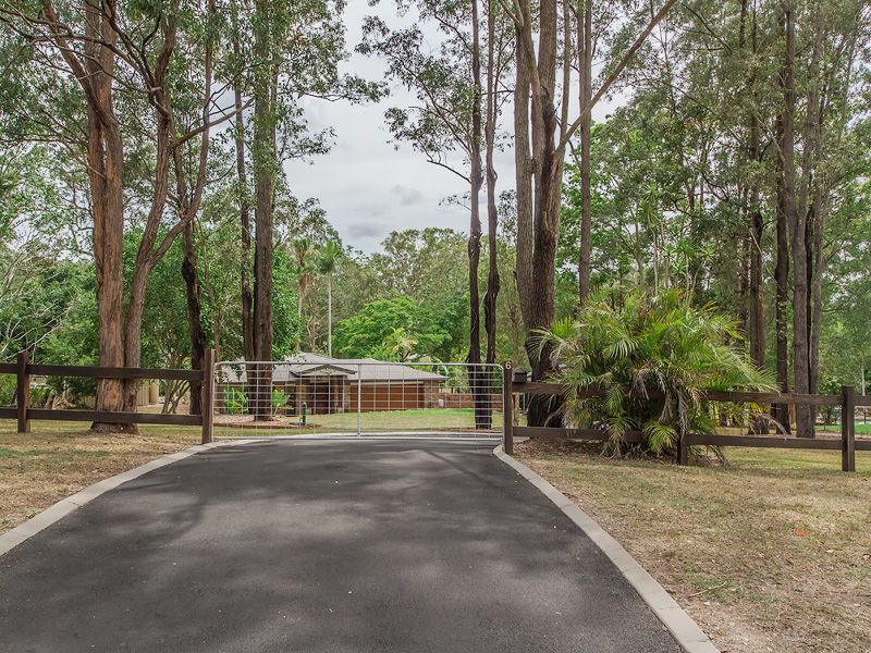 6 Springfield Street, Upper Coomera QLD 4209