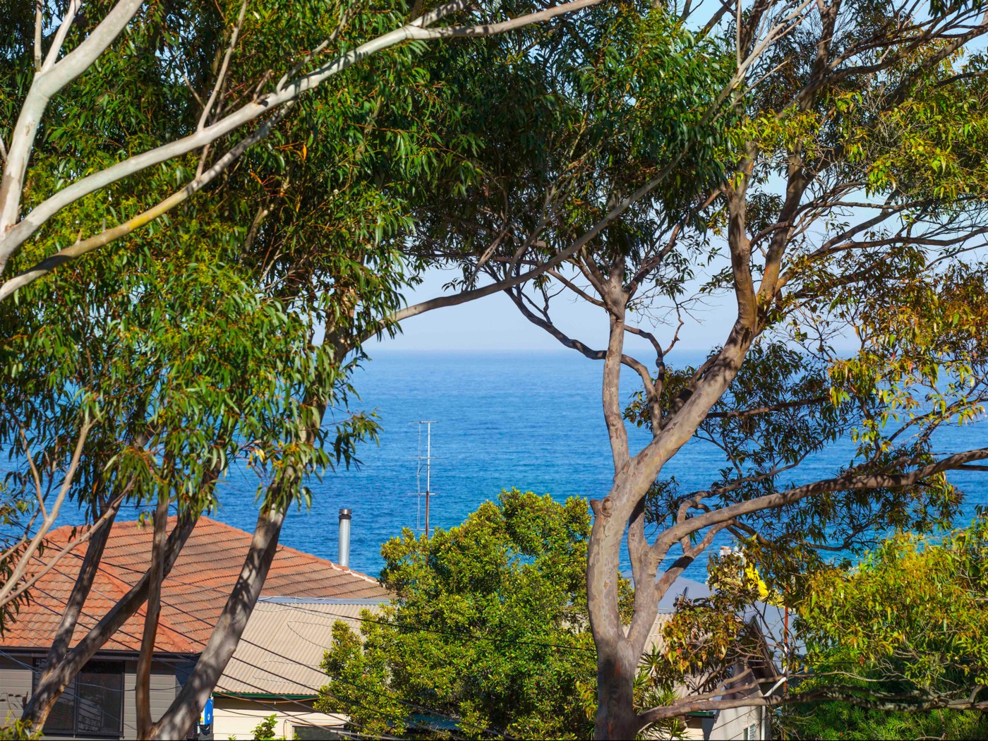 30 Park Street, COLEDALE, NSW 2515
