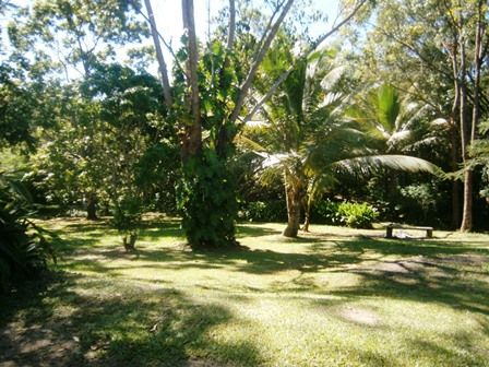 SPEEWAH, QLD 4881