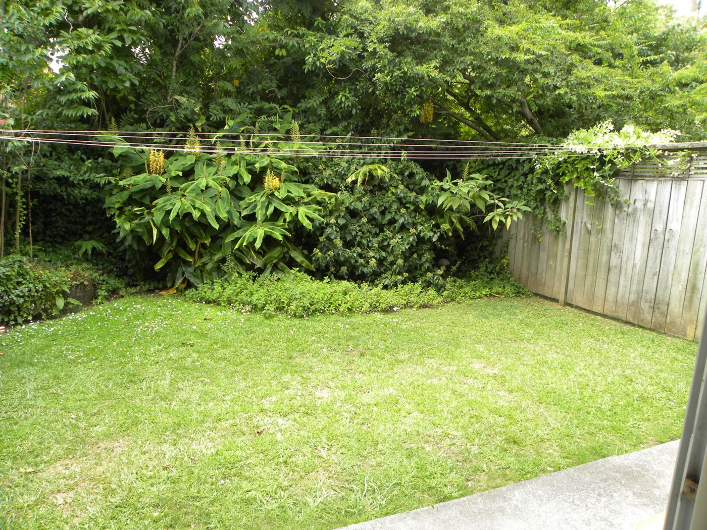 69b Woodward Road, MT ALBERT, Auckland City