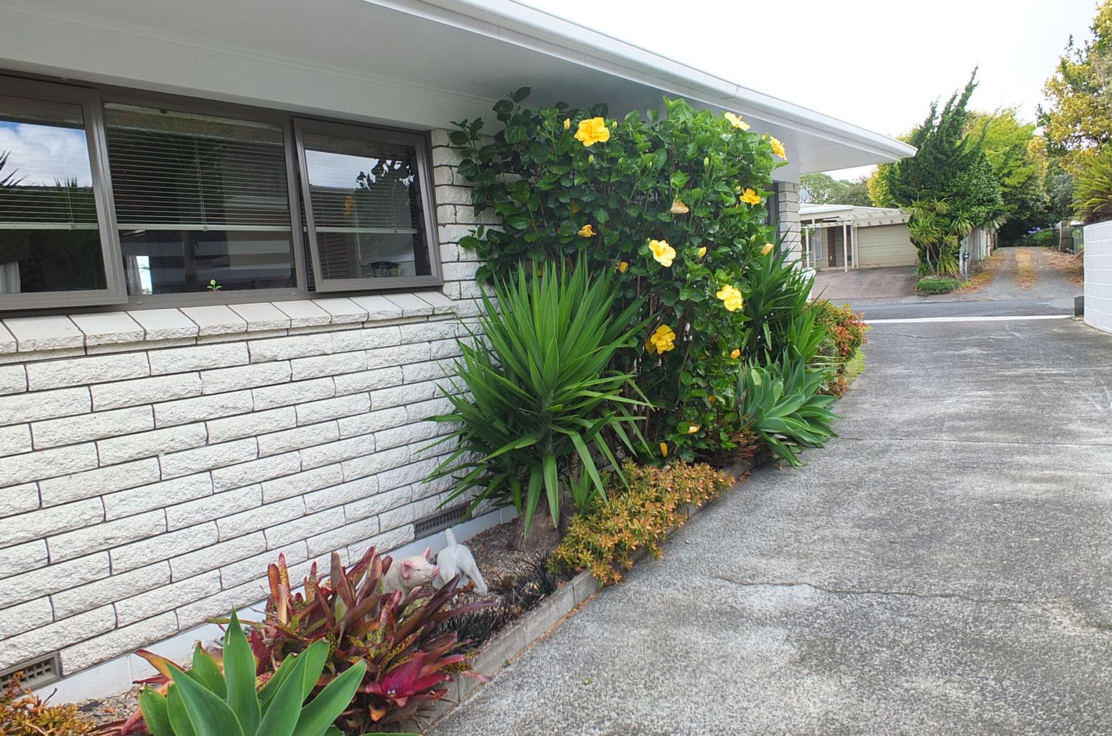 WAIUKU, Franklin