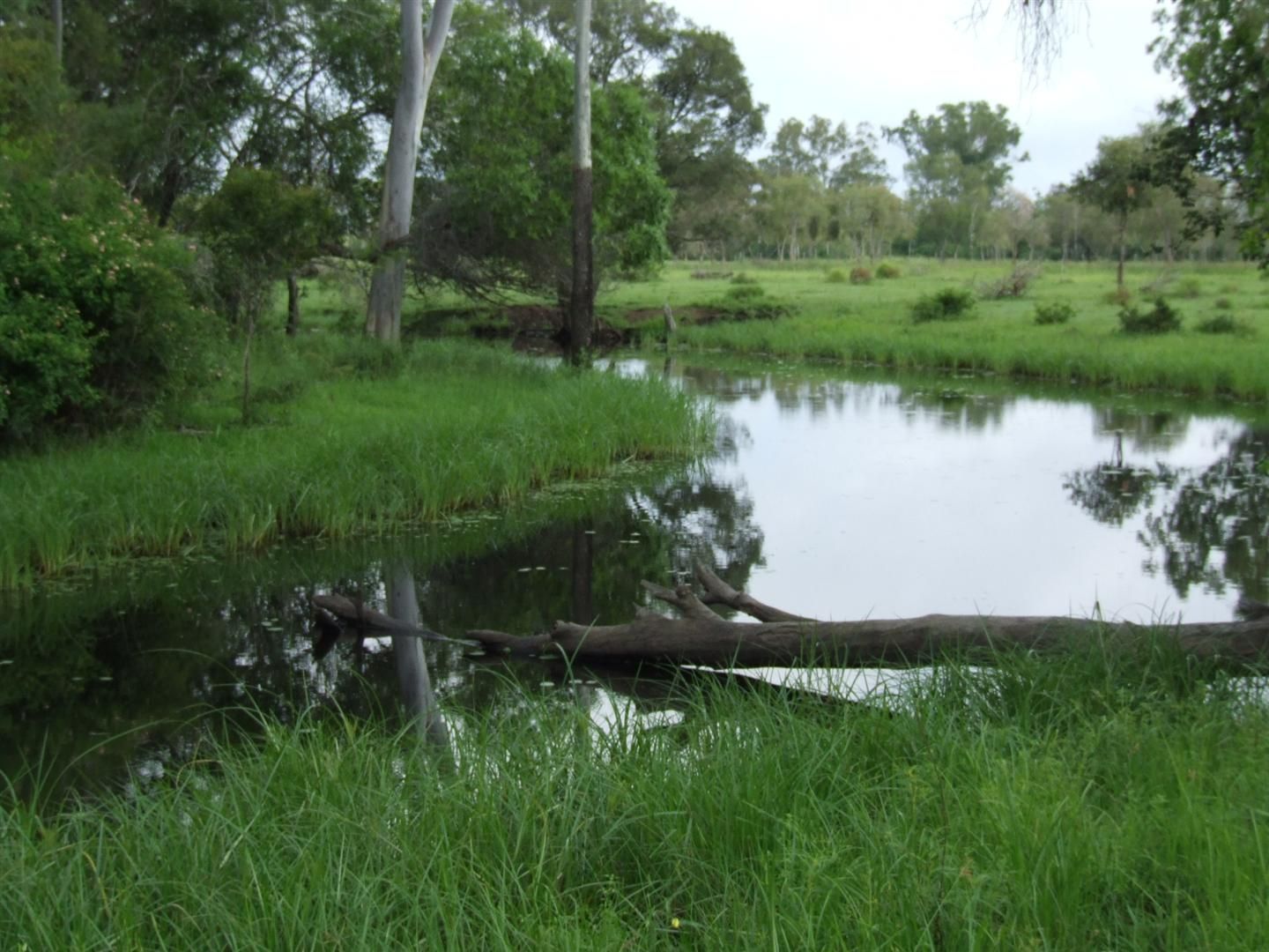 24 "Graceville" Andy Road, MORINISH, QLD 4702