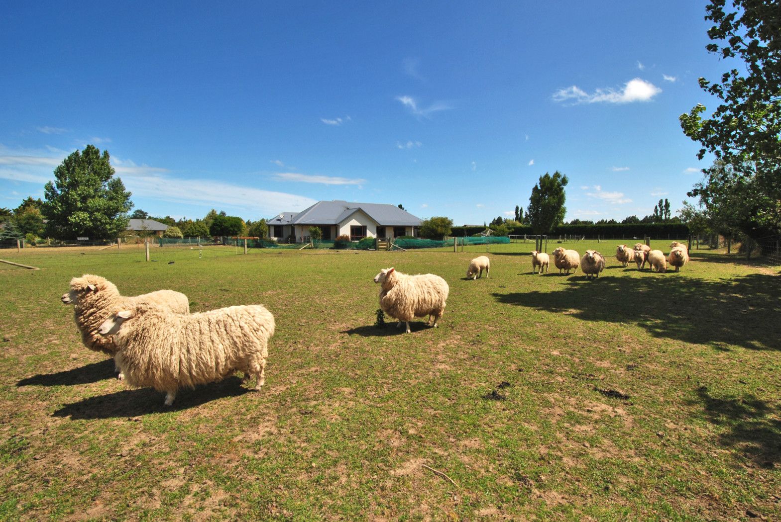 39 Winnie Vine Place, DUNSANDEL, Selwyn District