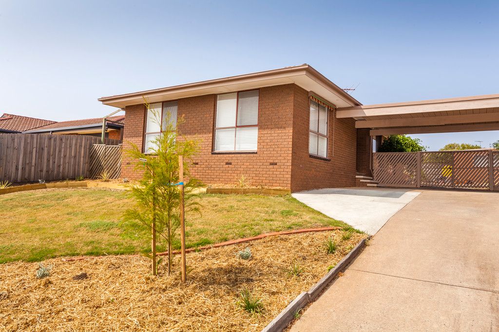 14 Birkenhead Drive, GROVEDALE VIC 3216