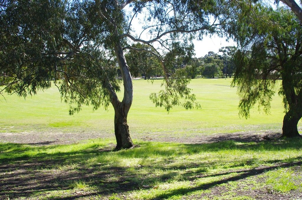 17 Arnos Way, GIRRAWHEEN, WA 6064