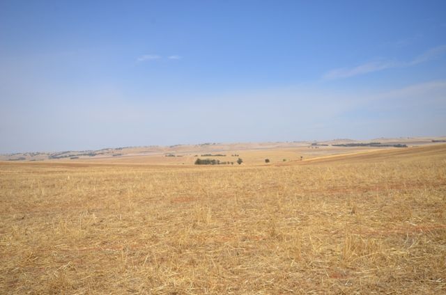 2 Lots RM Williams Highway, Andrews via, SPALDING, SA 5454