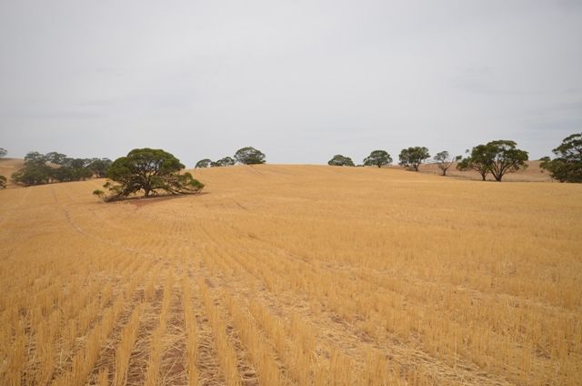 2 Lots Old Anlaby Road, ALLENDALE NORTH, SA 5373