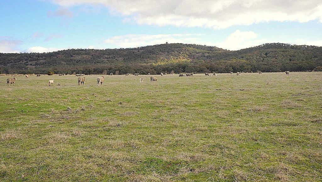 80 Mountain Creek Road, CLUNES, VIC 3370