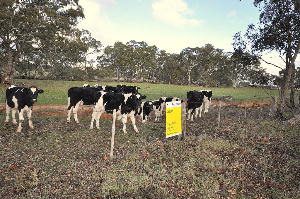 CA 1 Wolfs Lane, AVOCA, VIC 3467