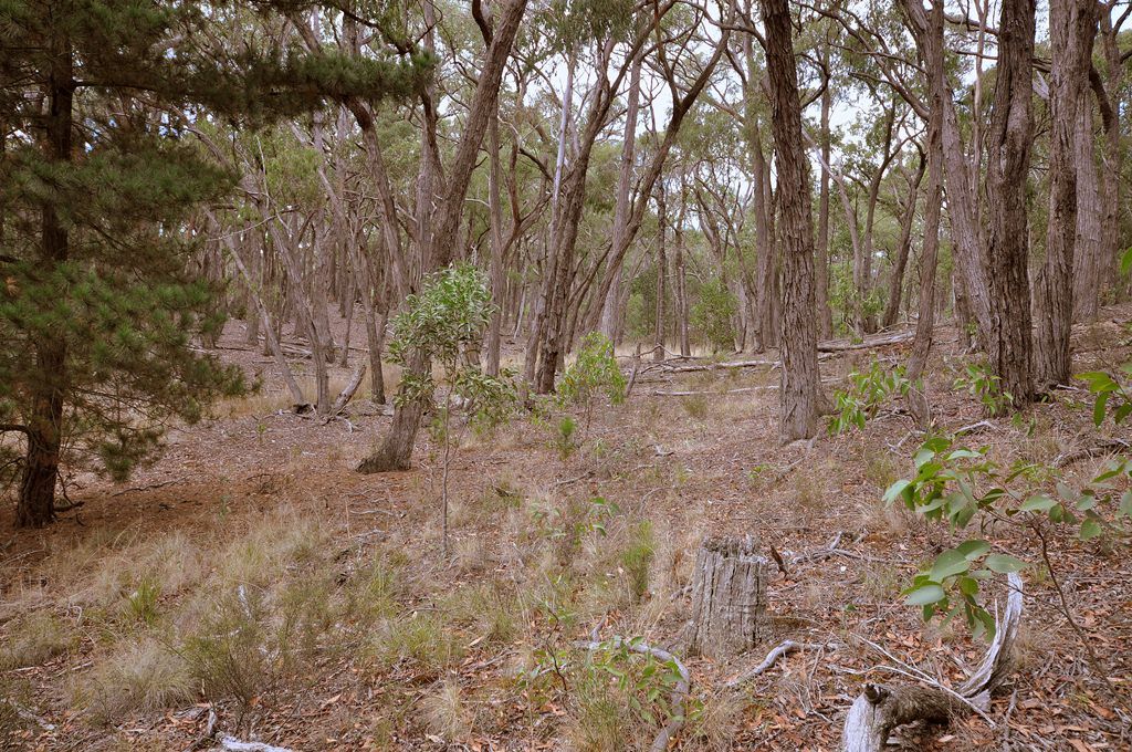 Lot 44 Eaglehawk Road, LAL LAL, VIC 3352