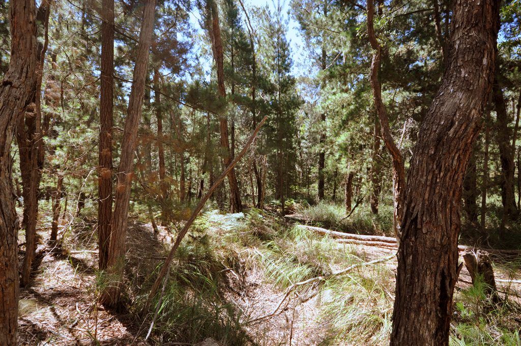 Lot 1 Glenelg Highway, LINTON, VIC 3360