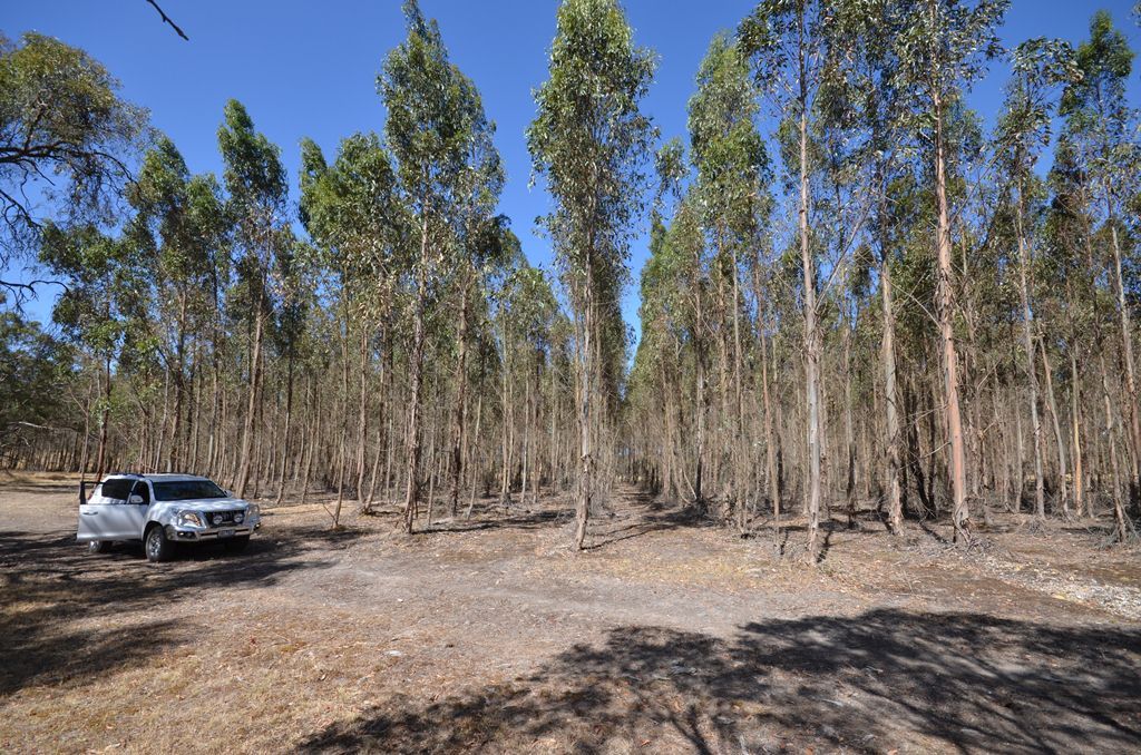 Dreamers Hill Road, LINTON, VIC 3360