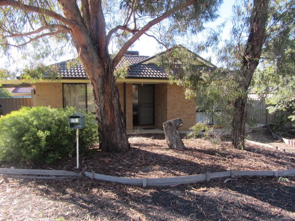 74 Bogong Street, THURGOONA, NSW 2640