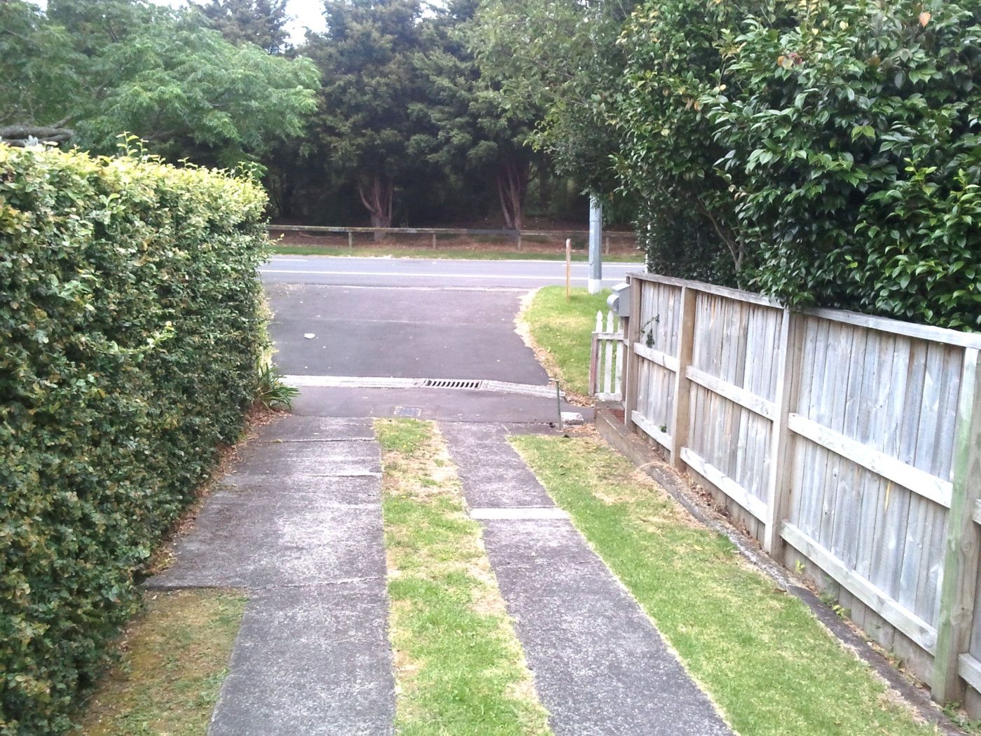Remuera, Auckland City
