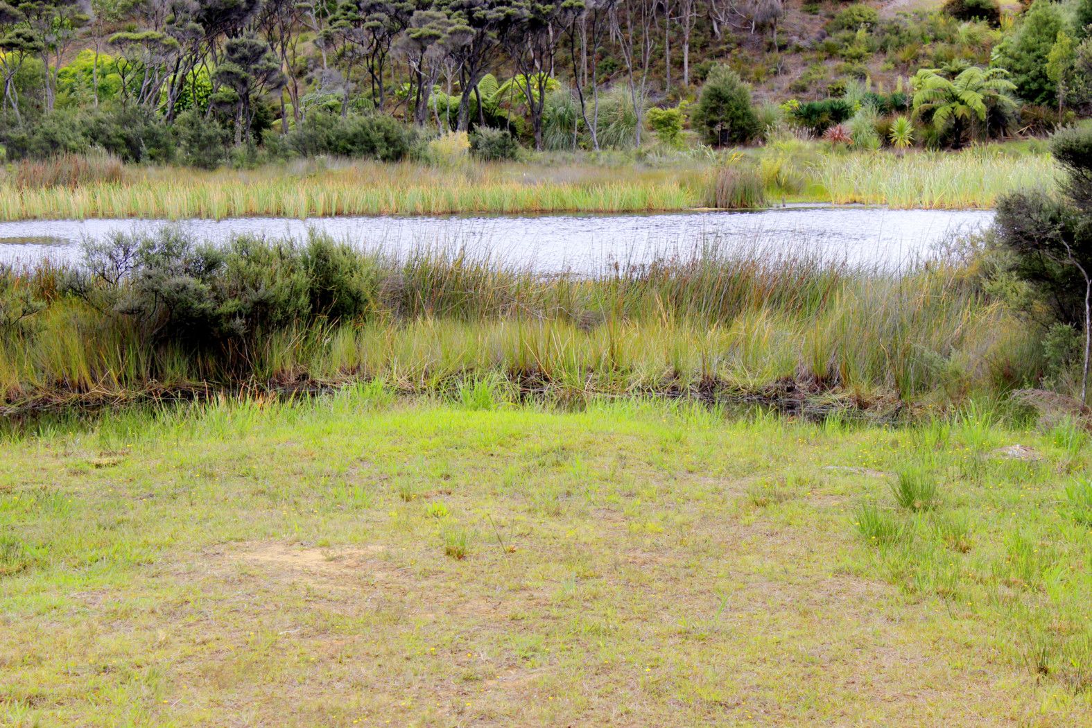 0 Sweetwater Road, Waipapakauri, Far North District