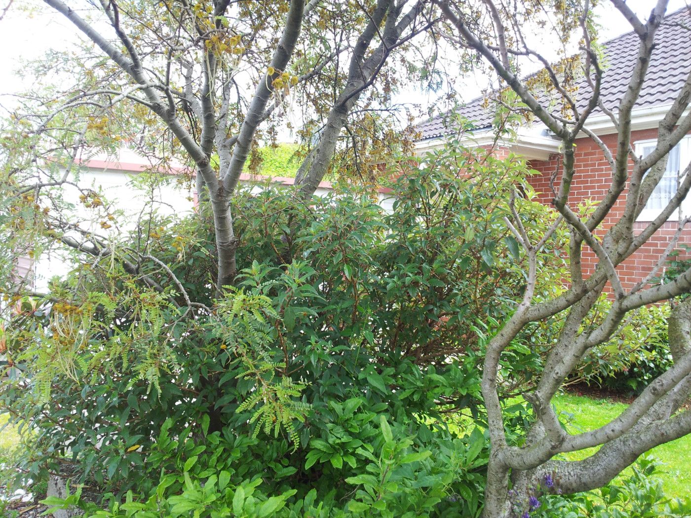 HEIDELBERG, Invercargill