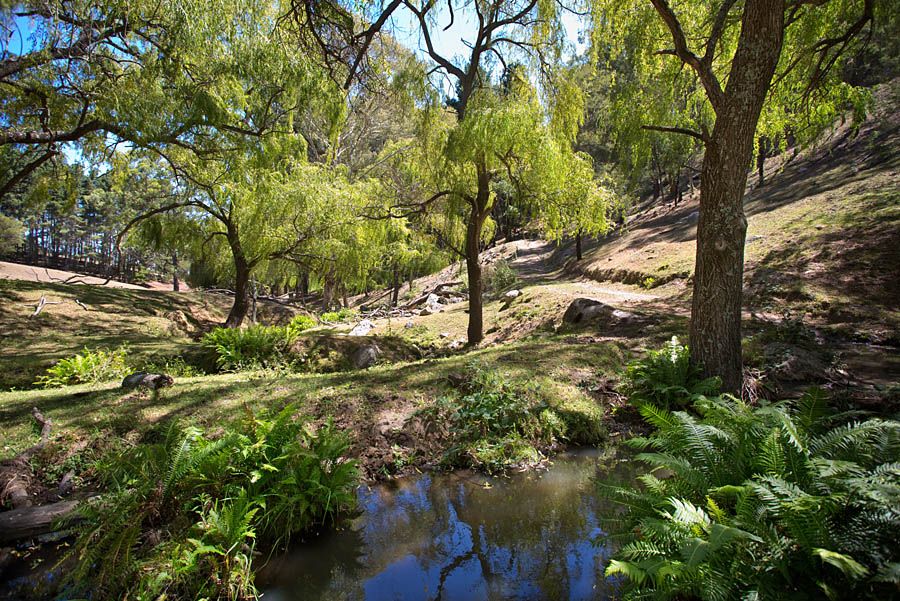 Lot 2, Rocklea Peach Tree Road, MEGALONG, NSW 2785